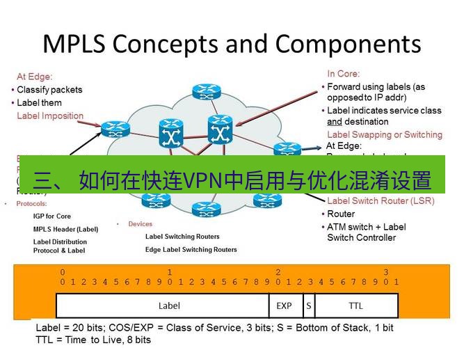 快连VPN 三、 如何在快连VPN中启用与优化混淆设置